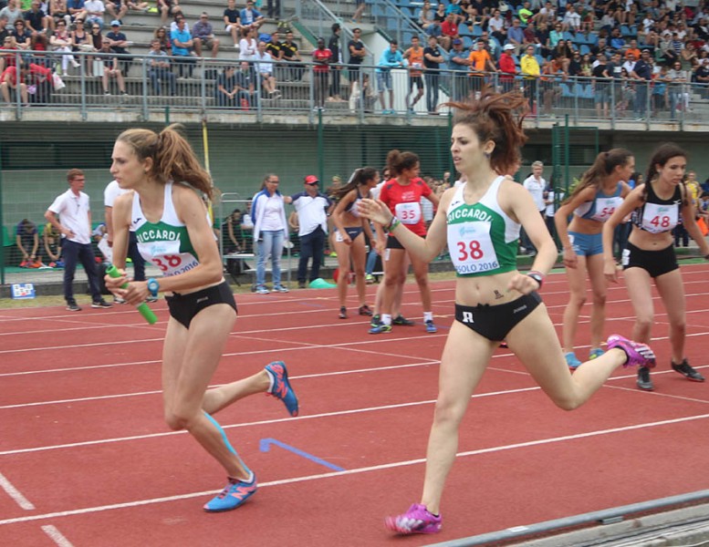 4x400F IMG 8391